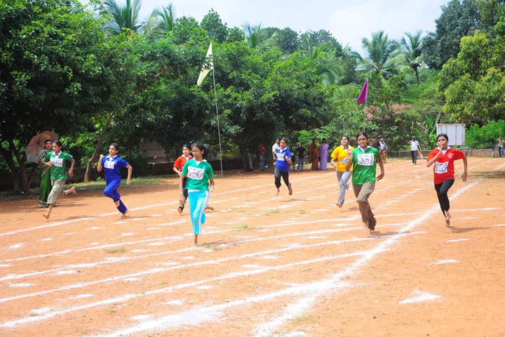 Sabari Central School, Cherpulassery, Palakkad: Admission, Fee, Affiliation