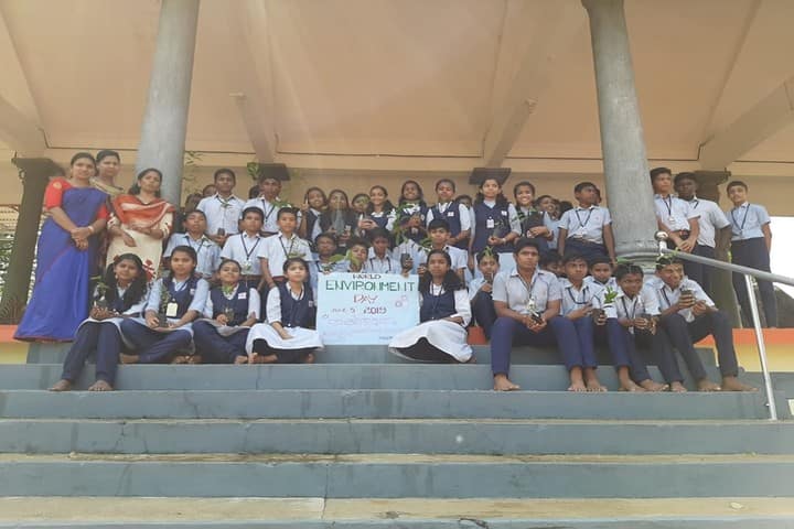 Saraswathy Vidyanikethan School-Envinorment Day