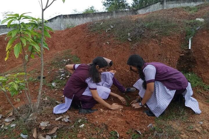 Sree Sankara Vidya Peedhom English Medium School-Plantation Day