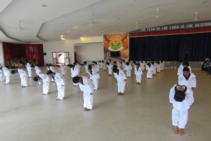 St Julianas Public School-Takewonda