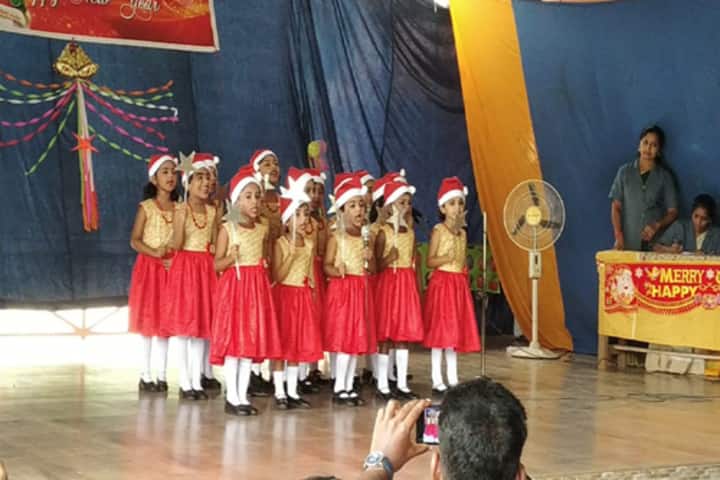 St Marys Cathedral Public School-Carol Singing