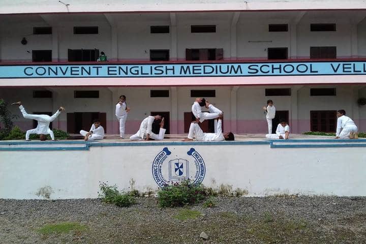 St Dominic Convent English Medium School-Yoga Celebrations