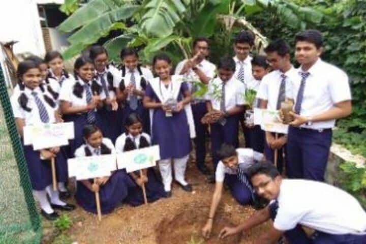 St Marys Residential Central School-Tree Plant