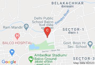 Delhi Public School, BALCO, Korba, Korba: Admission, Fee, Affiliation